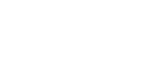 Logo de Selecta Vision